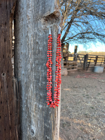 Rough Corral & Turquoise Necklace